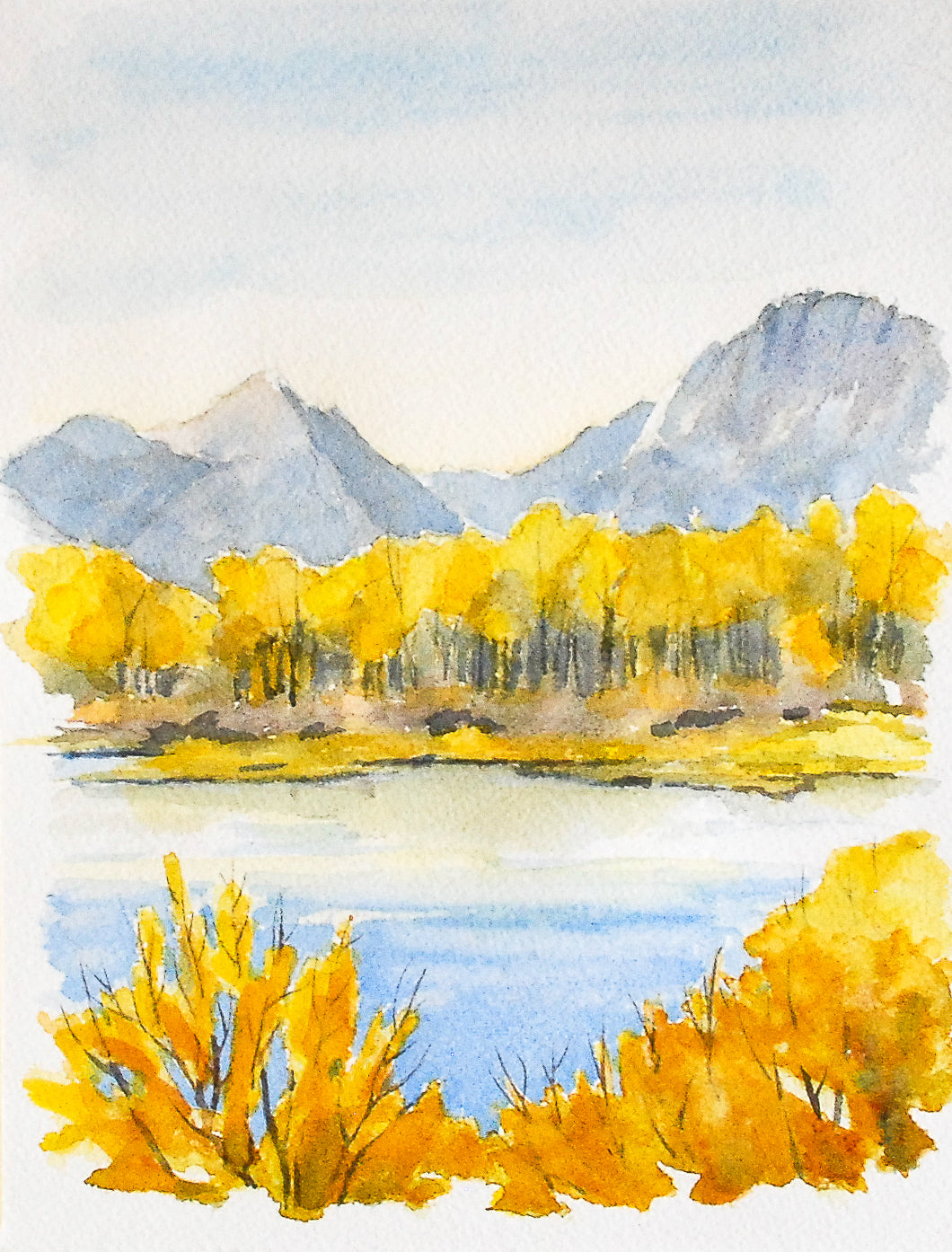 Susan Marsh: Oxbow Bend
