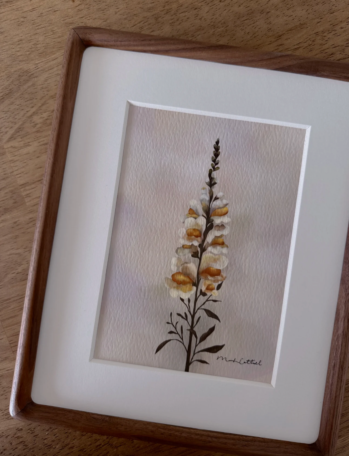 Mariah Cottrell: Yellow Snapdragon