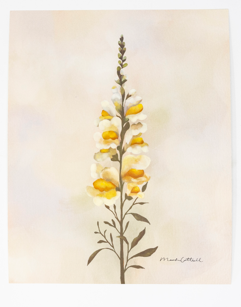 Mariah Cottrell: Yellow Snapdragon