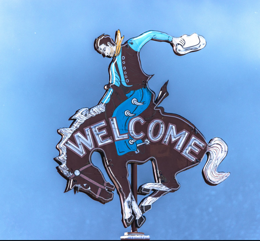 Adam Reed: Welcome to Jackson (8 x 8)