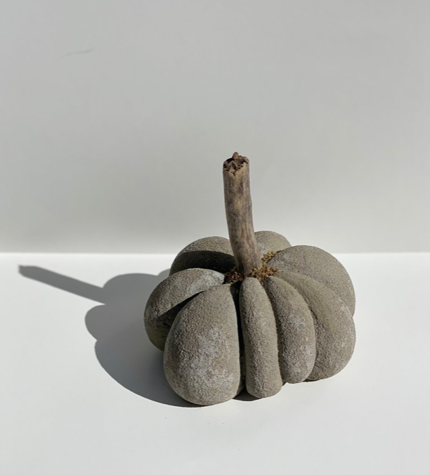 Ally Giorno: Gourd 2