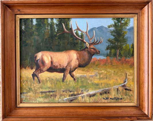 Matt Montagne: Fall Stroll