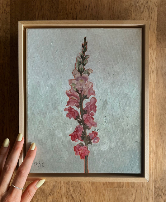 Mariah Cottrell: Pink Snapdragon
