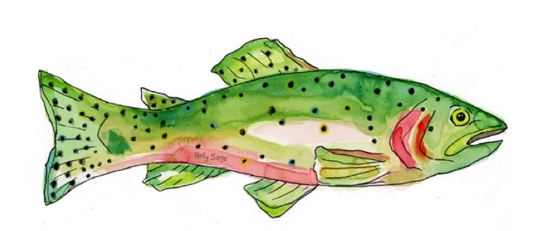Holly Sage: Western Cutthroat Sticker