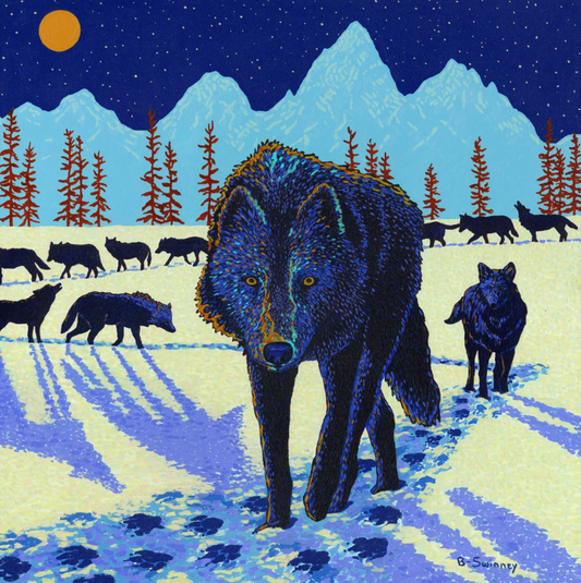 Brenda Swinney: Midnight Pack (Original)