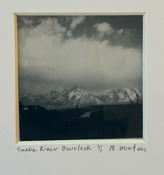 Bronwyn Minton: Polaroid