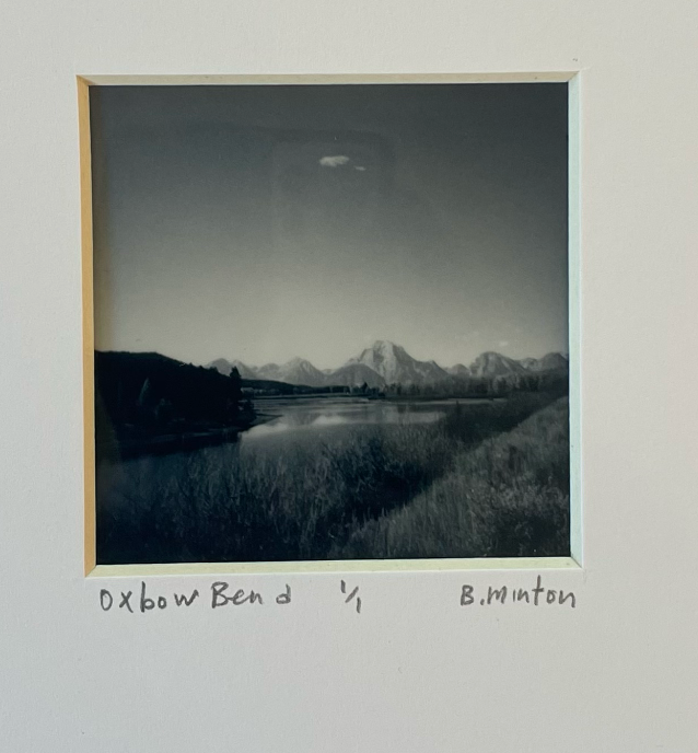 Bronwyn Minton: Polaroid