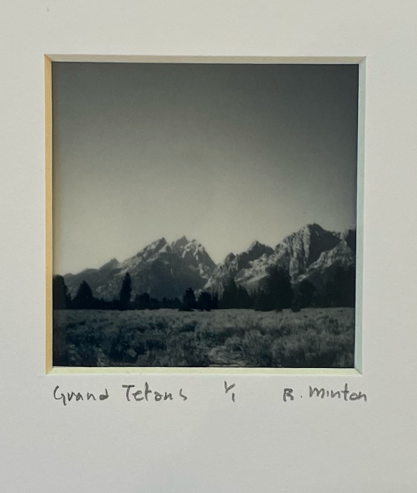 Bronwyn Minton: Polaroid