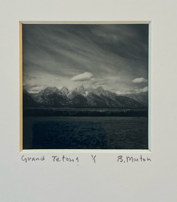 Bronwyn Minton: Polaroid