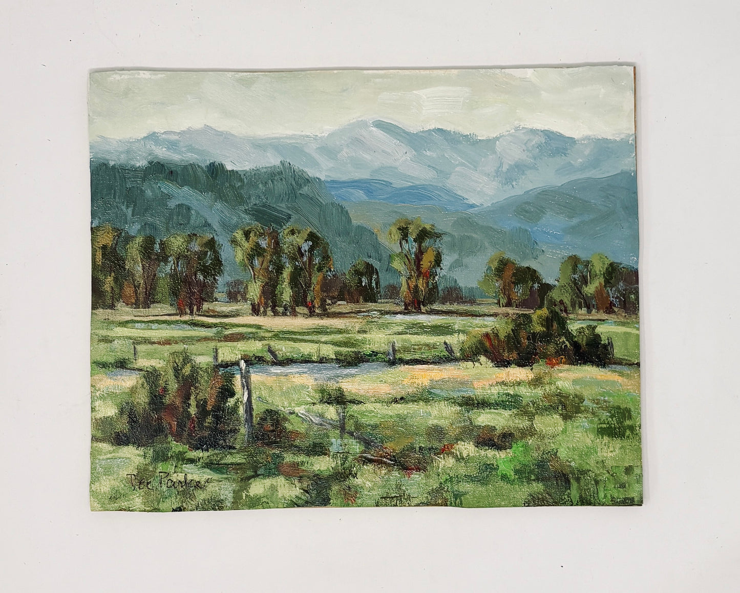 Dee Parker: Summer Days