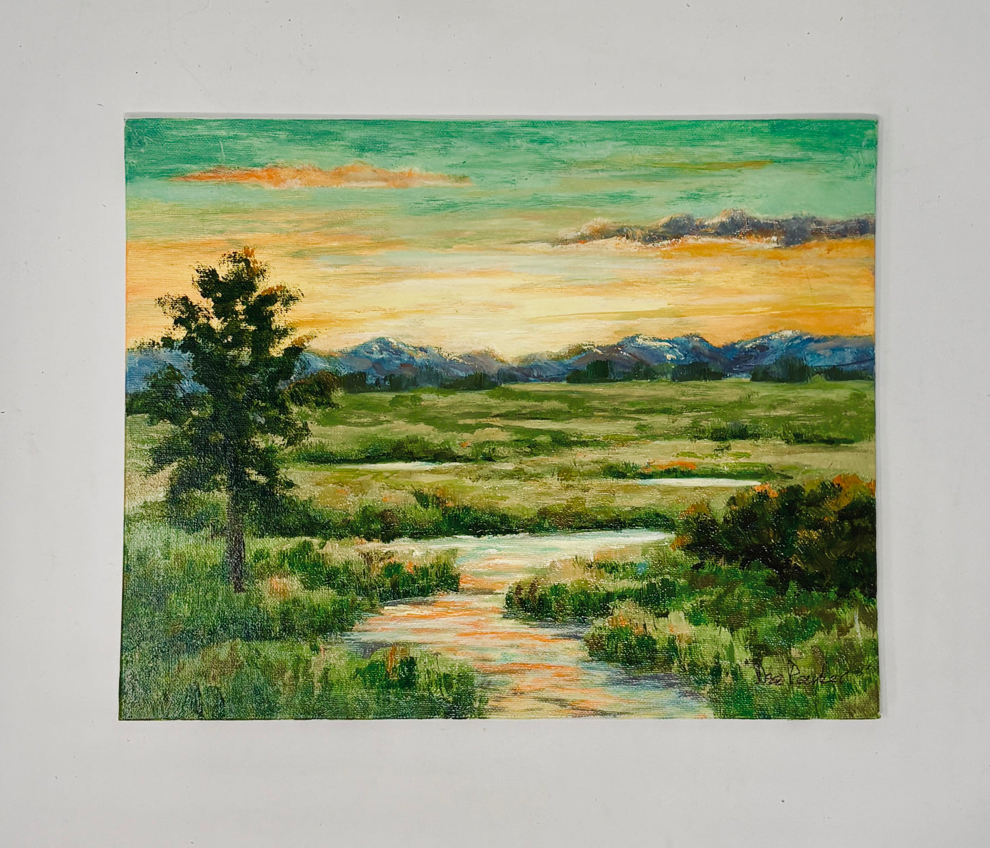 Dee Parker: Sunset over the WY Range