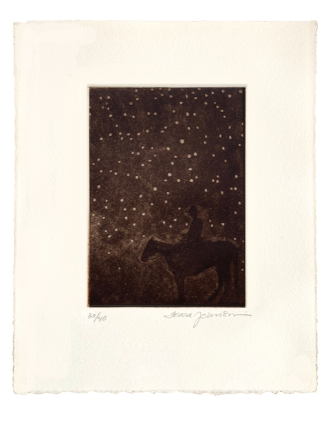 Tessa Johnson: Night Hawk