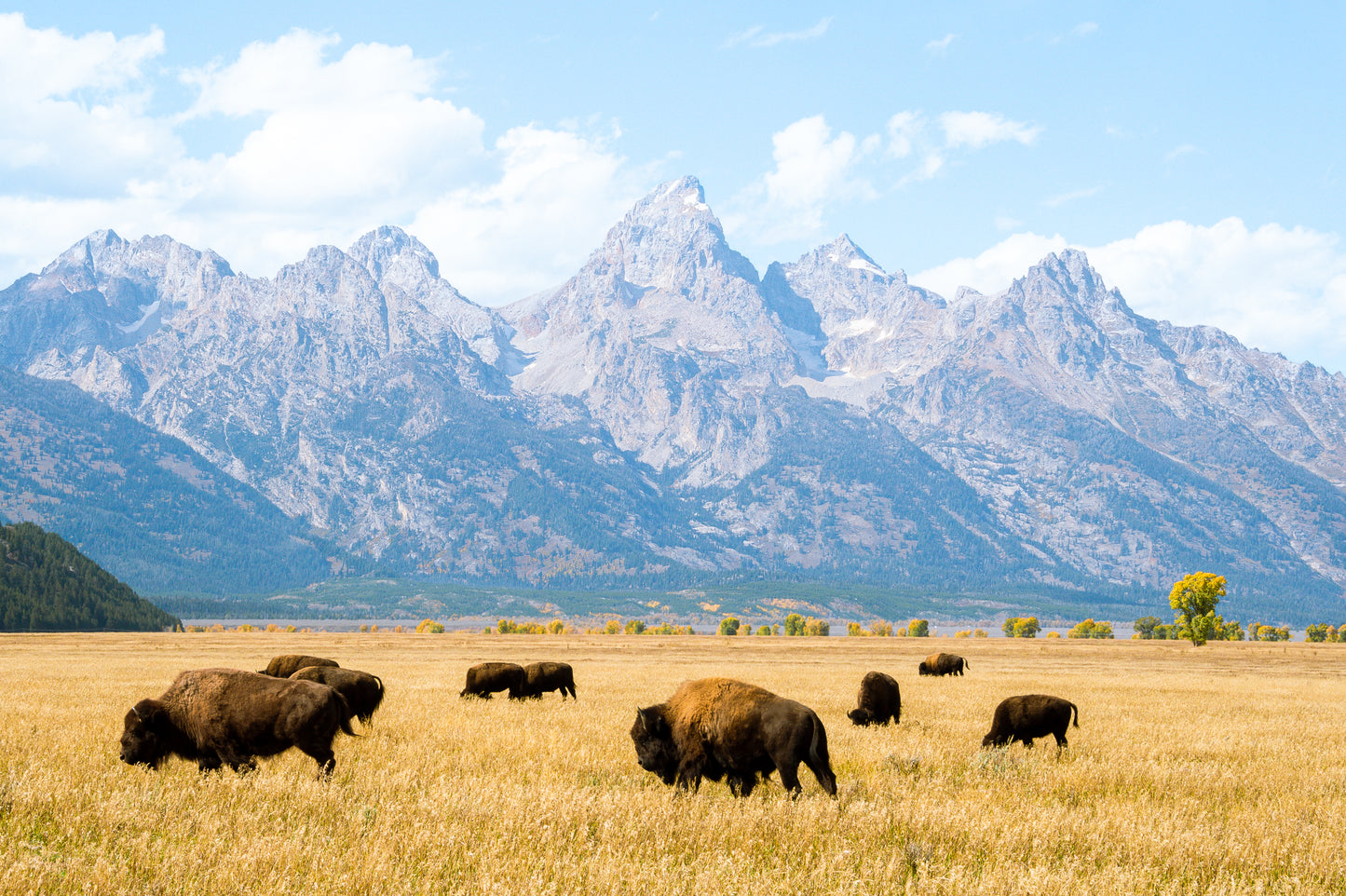 Tim Miller: Old West