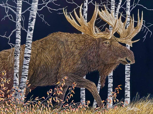 Joe Watkins: Walk In The Woods