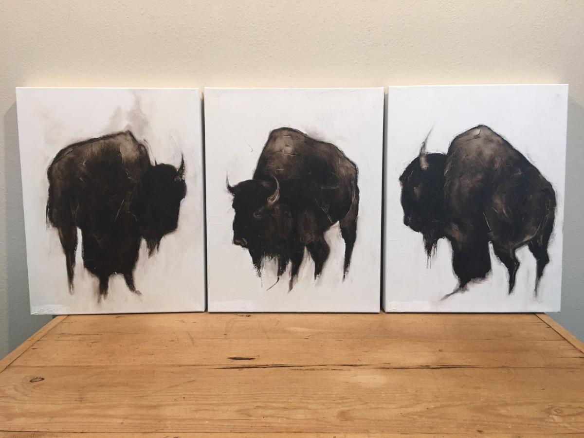 Judith Dragonette: Looking North