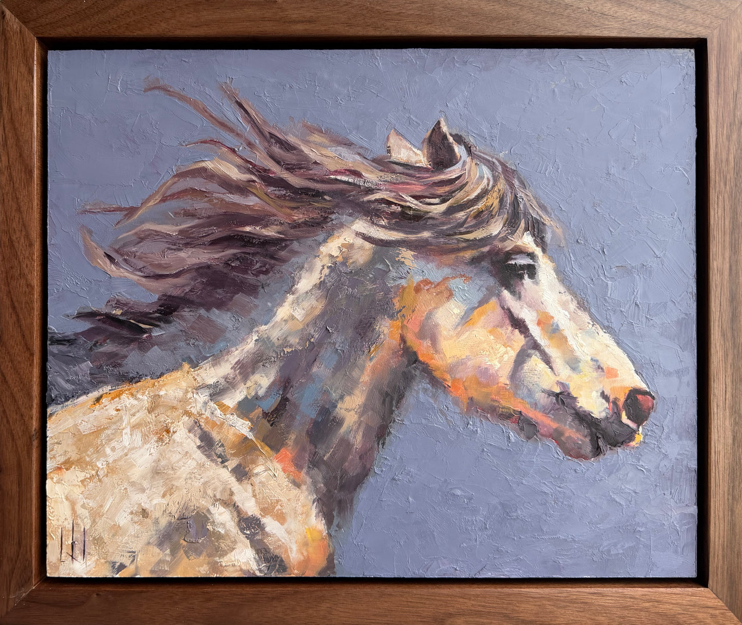 Lxi Weber: Mustang