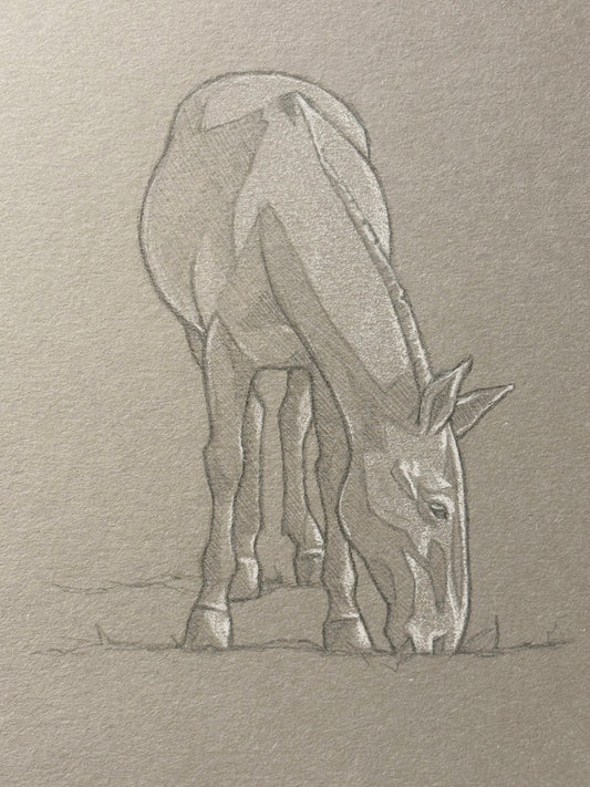 Ellie Manny: Grey Mule #1