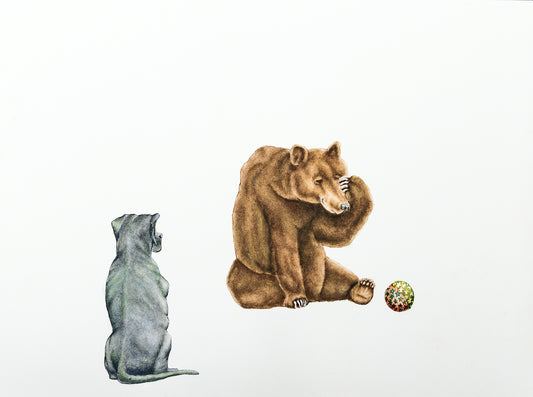 Kevin Meehan: Bewildered (Print)