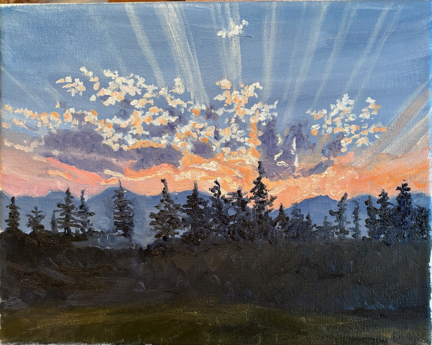 Elizabeth Wright: Corona Sunset
