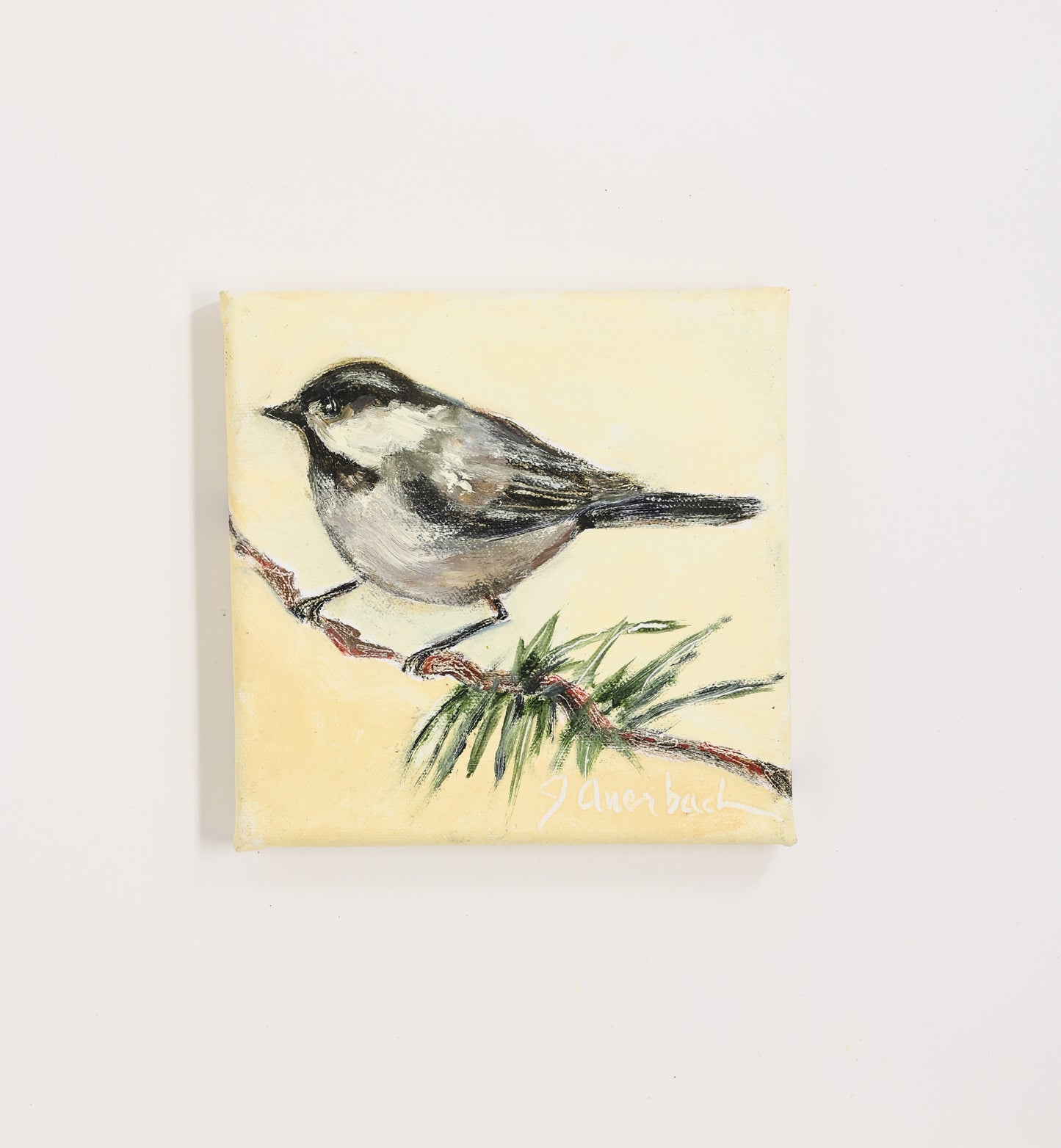 Jill Auerbach: Mountain Chickadee