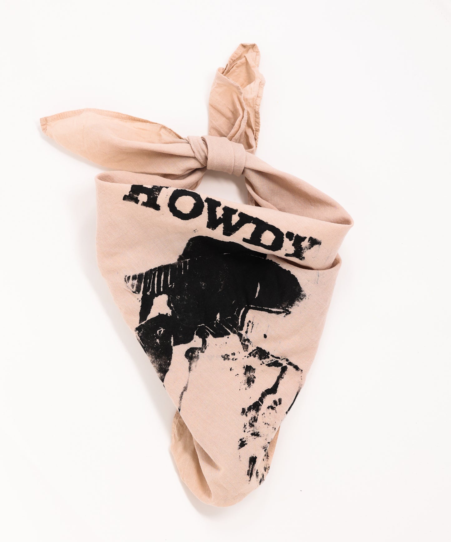 Ellen Stryker: Howdy Bandana