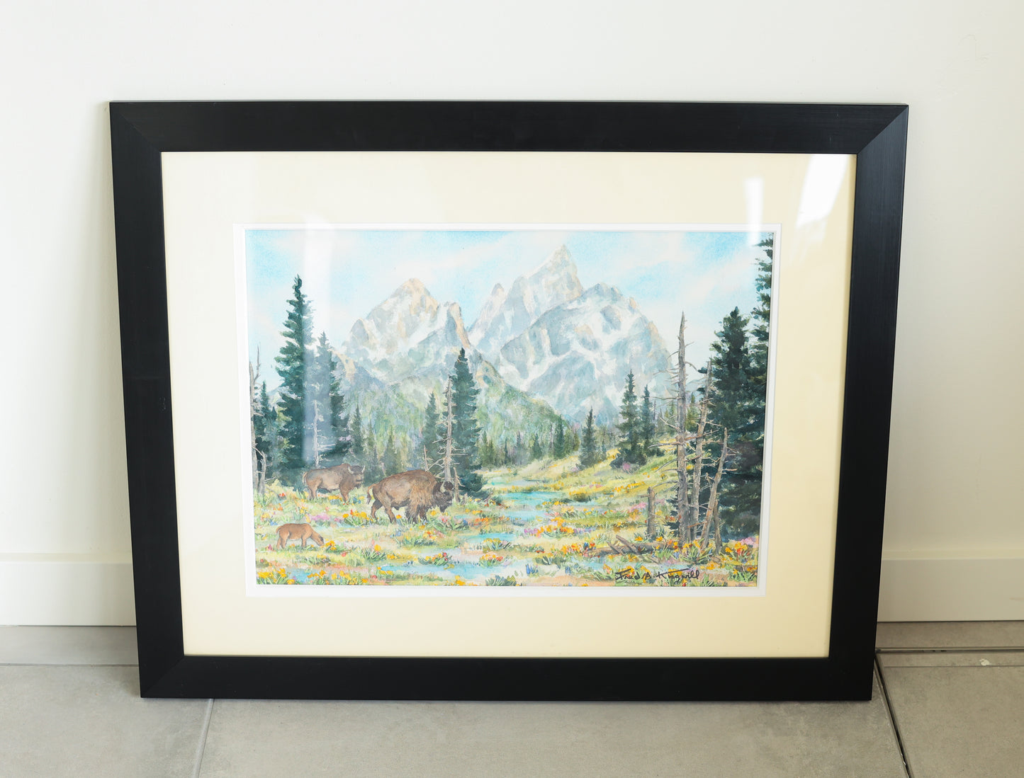 Fred Kingwill: Bison Family