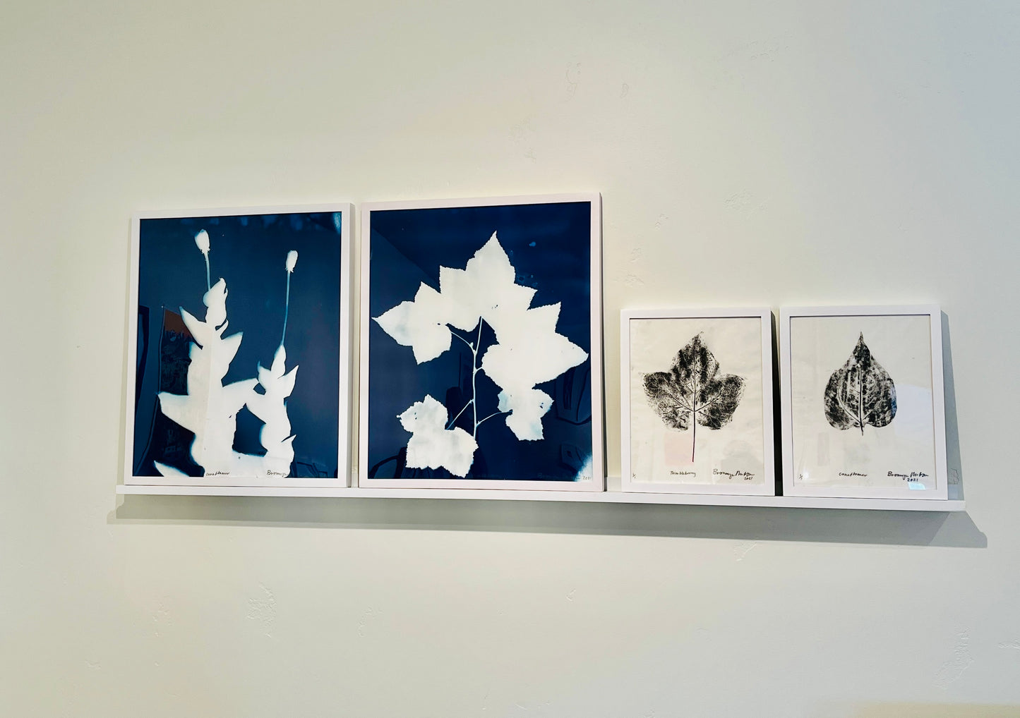 Bronwyn Minton: Cyanotype Framed