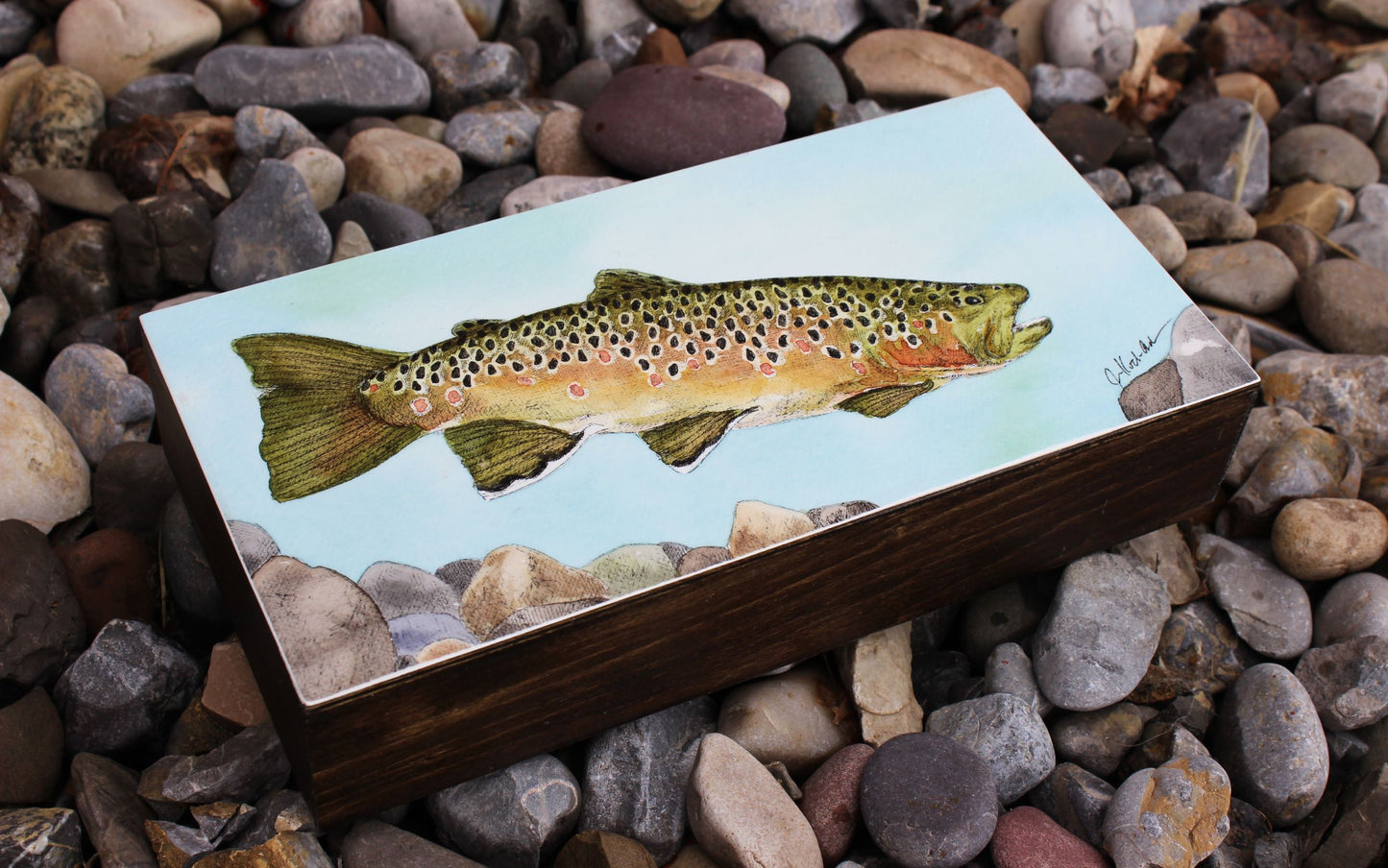 Jennifer Kocher-Anderson: Searching: Brown Trout