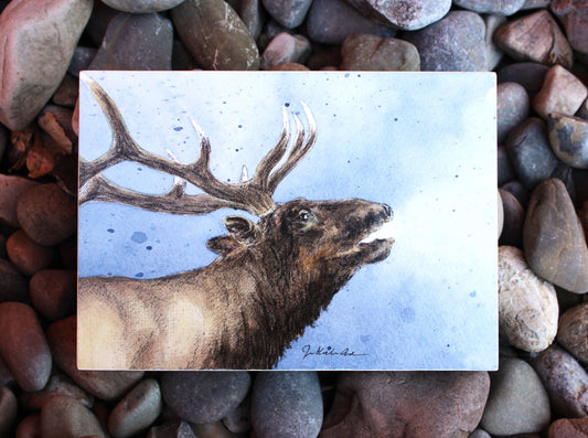 Jennifer Kocher-Anderson: Morning Bugle: Bull Elk