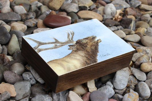 Jennifer Kocher-Anderson: Morning Bugle: Bull Elk