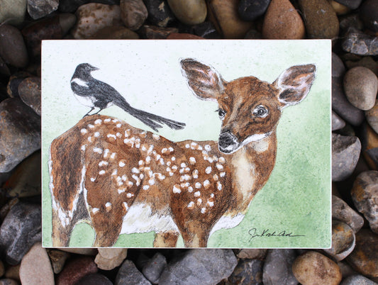 Jennifer Kocher-Anderson: Resting Place: Mule Deer Fawn and Magpie