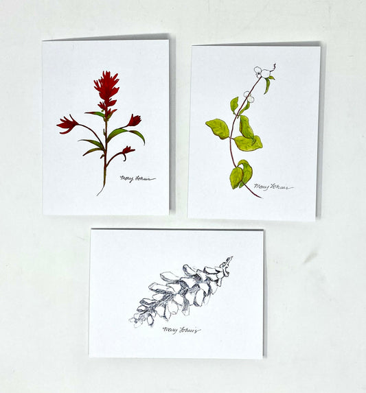 Mary Lohuis: Jackson Hole Selection Cards