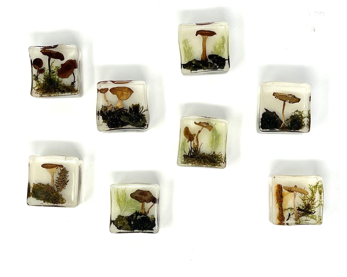 Julianna Lovasz: Small Mushroom Magnet