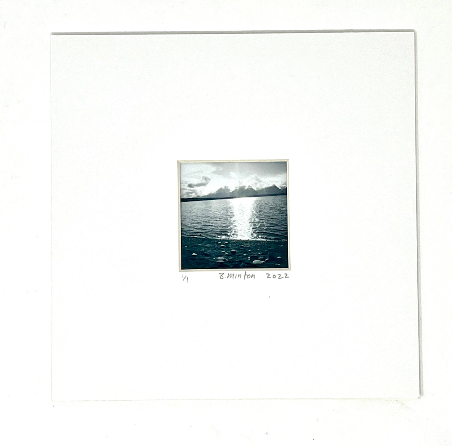 Bronwyn Minton: Polaroid