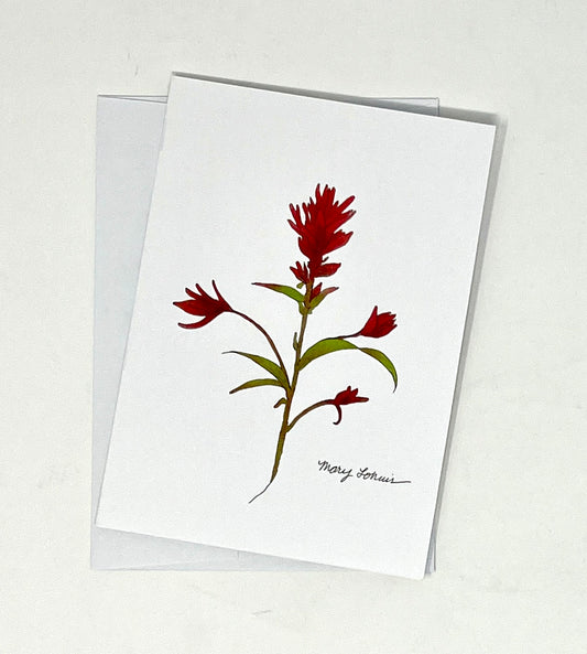 Mary Lohuis: Indian Paintbrush Single Card