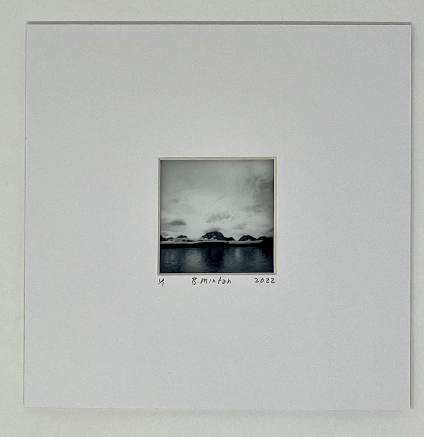 Bronwyn Minton: Polaroid