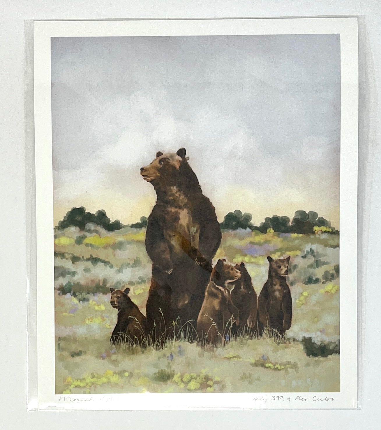 Mariah Cottrell: Grizzly 399 and her cubs ( 10 x 8 inches)