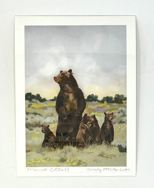 Mariah Cottrell: Grizzly 399 and her cubs (7 x 5 print)