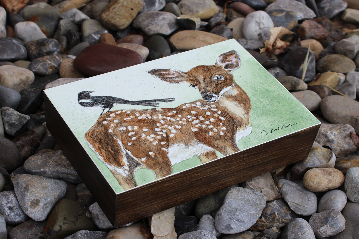 Jennifer Kocher-Anderson: Resting Place: Mule Deer Fawn and Magpie