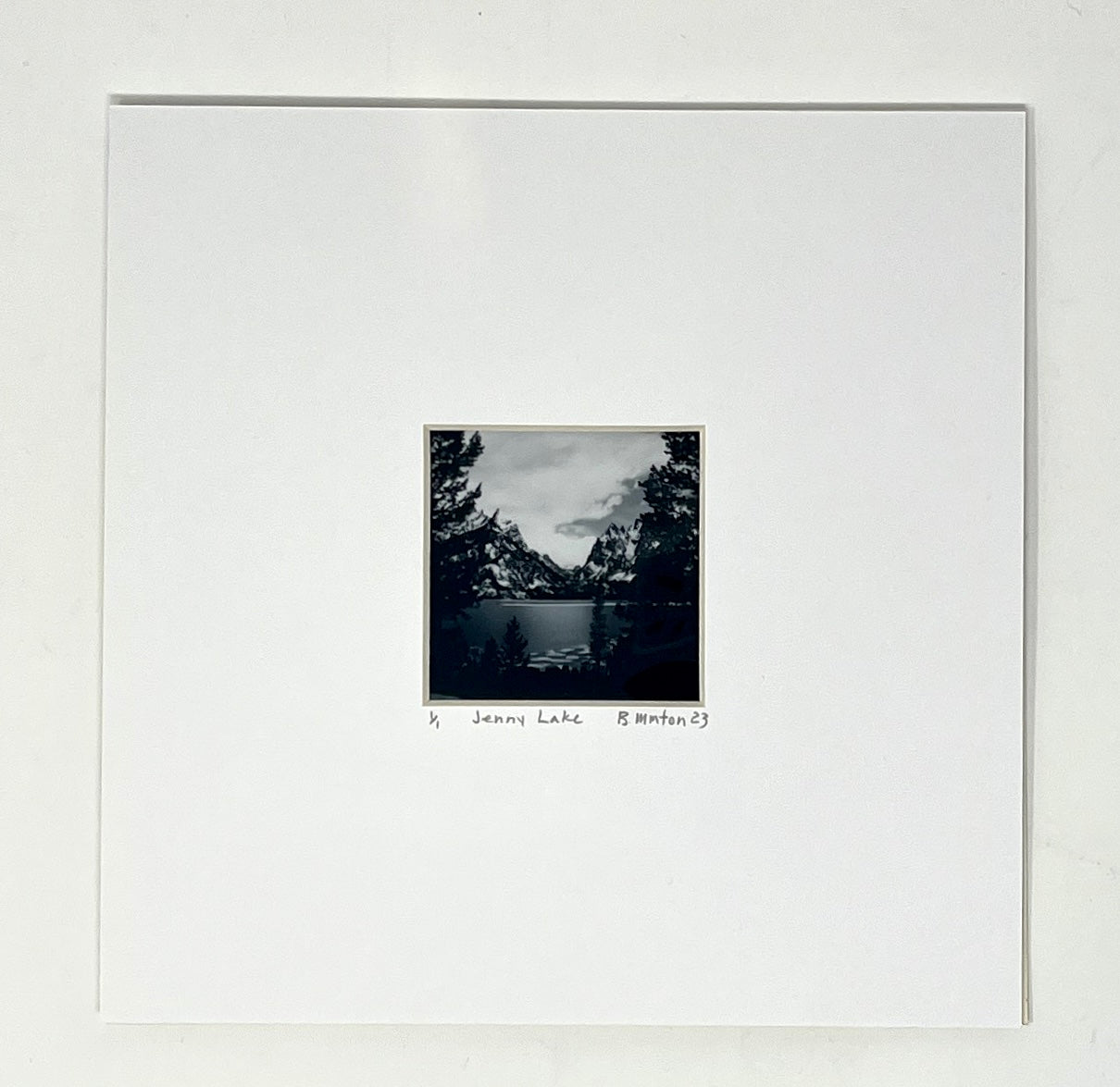 Bronwyn Minton: Polaroid