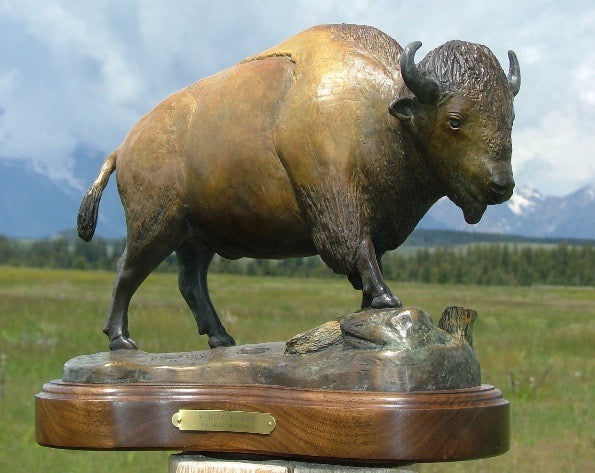 Matt Montagne: Majestic Wanderer