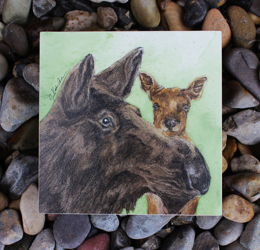 Jennifer Kocher-Anderson: Curiosity: Momma and Calf Moose
