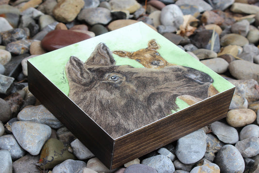 Jennifer Kocher-Anderson: Curiosity: Momma and Calf Moose