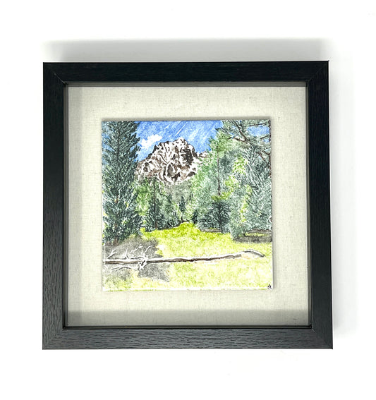 Sue Morriss: Mt Moran Spring