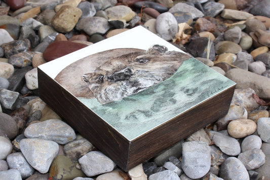 Jennifer Kocher-Anderson: Reflections: River Otter