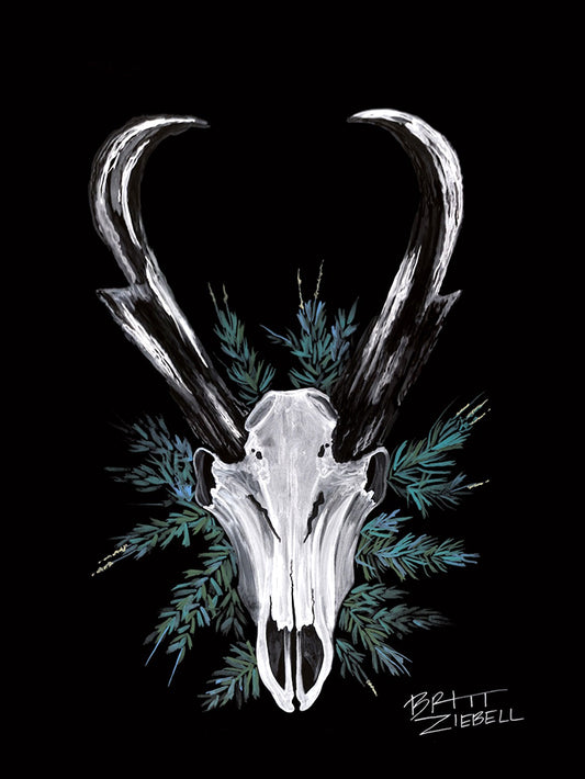 Britt Ziebell: Pronghorn Skull
