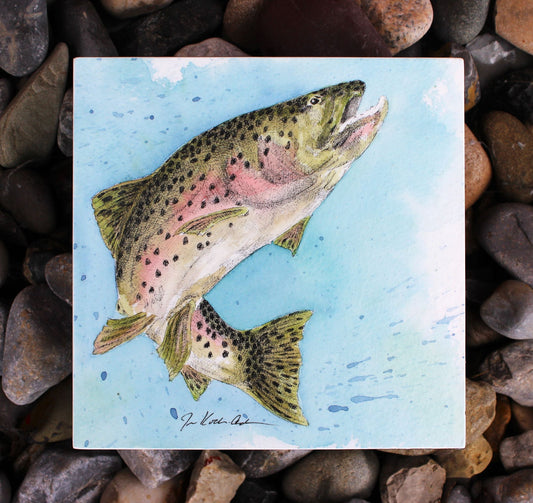Jennifer Kocher-Anderson: Happy Tail: Rainbow Trout