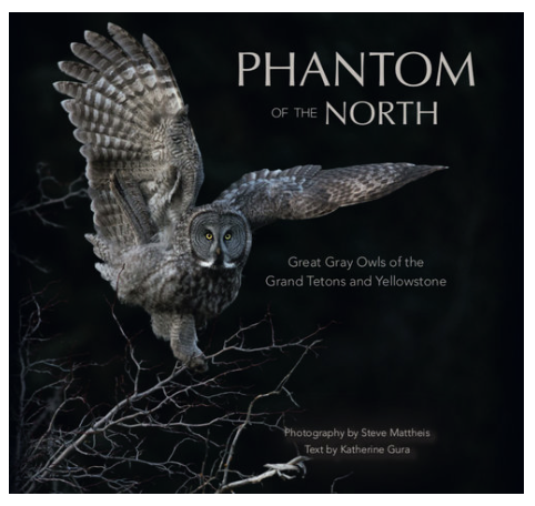 Phantom of the North Book