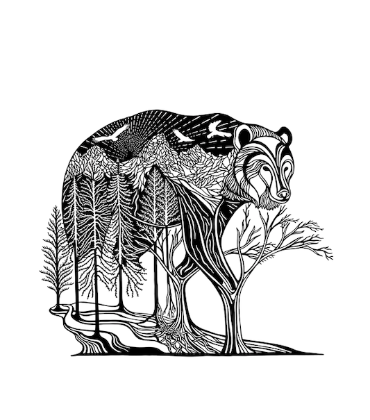 Wild Spirits: Bear Print