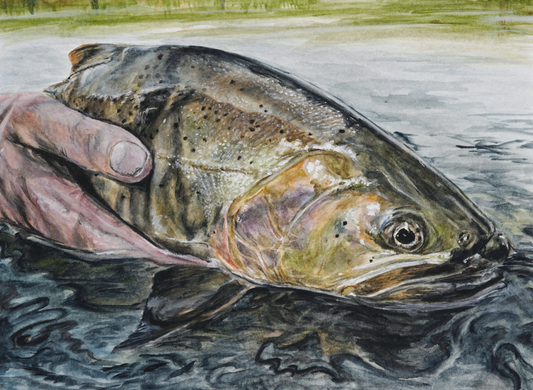 Matthew Guido: A Handshake Print